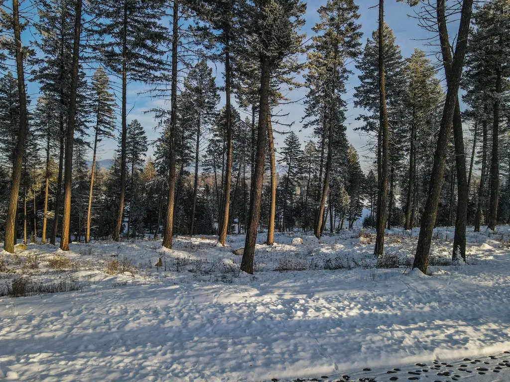 269 Layton Road Whitefish MT 59937