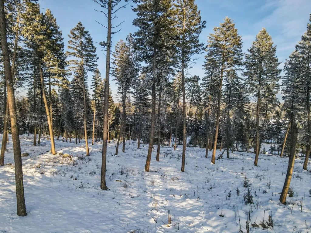 269 Layton Road Whitefish MT 59937