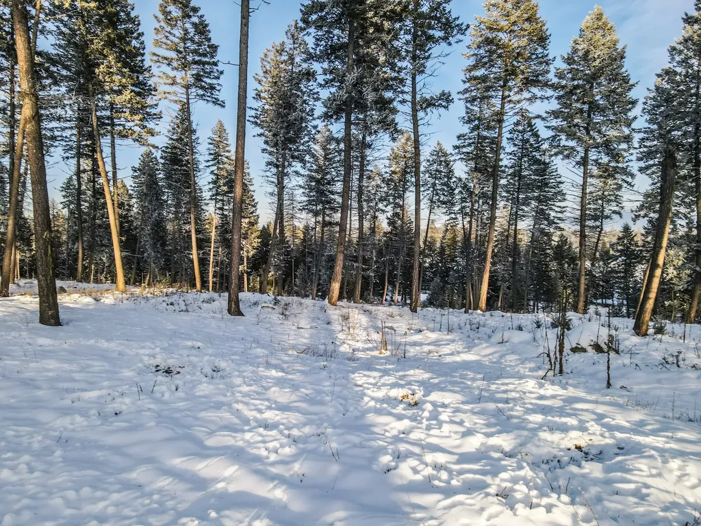 269 Layton Road Whitefish MT 59937