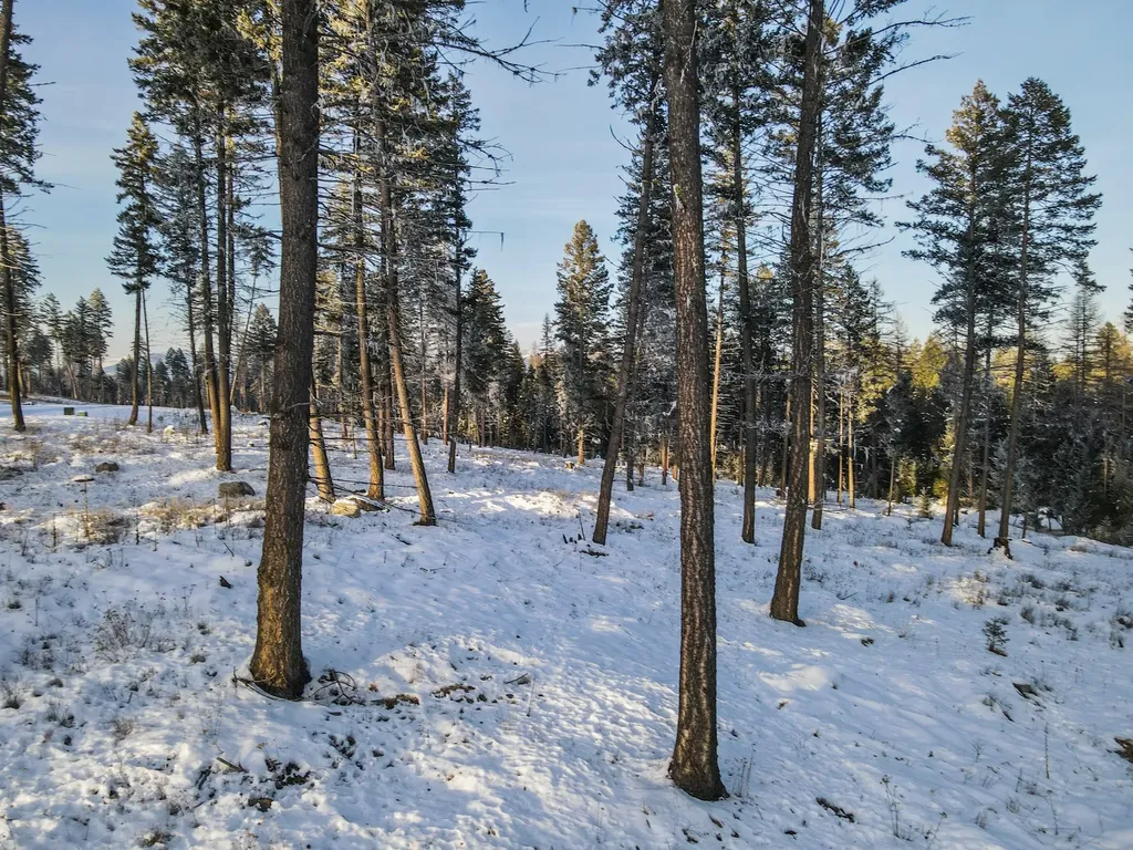 269 Layton Road Whitefish MT 59937