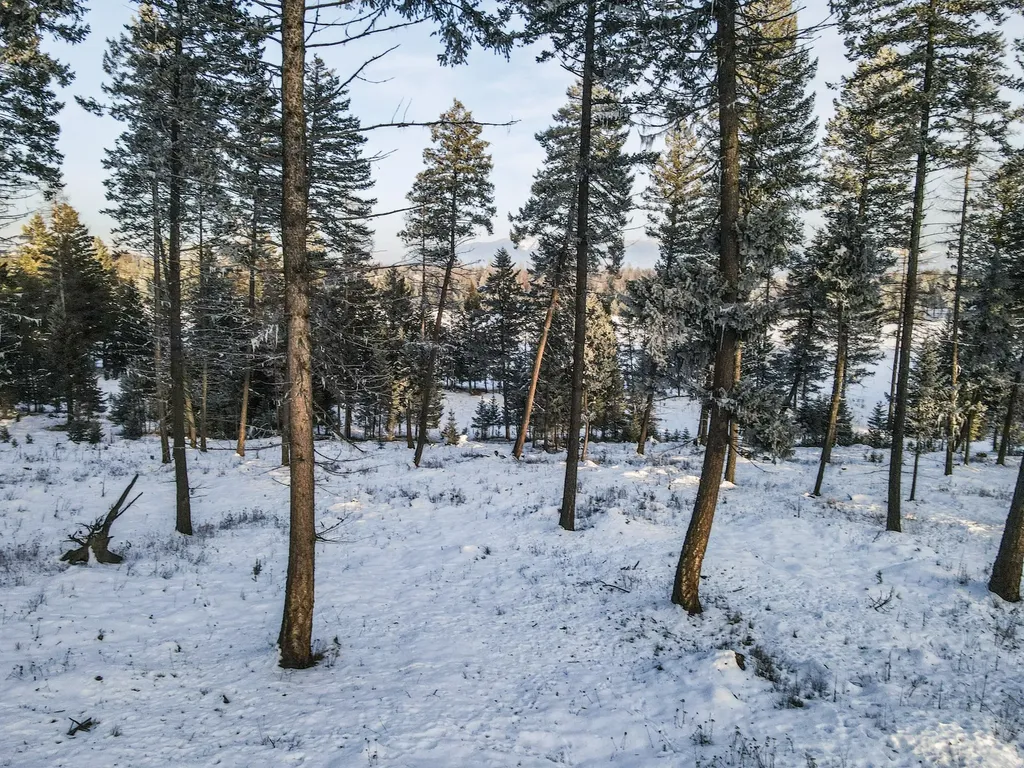 269 Layton Road Whitefish MT 59937