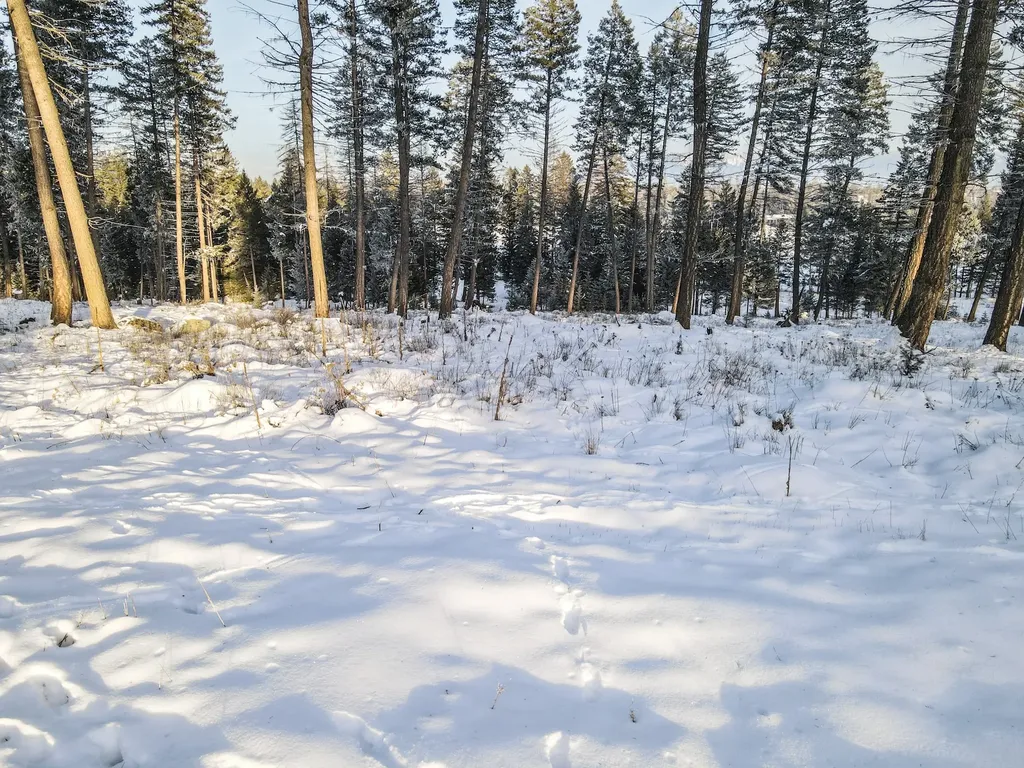 269 Layton Road Whitefish MT 59937