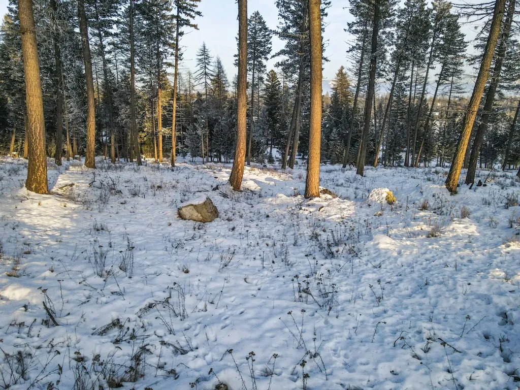269 Layton Road Whitefish MT 59937