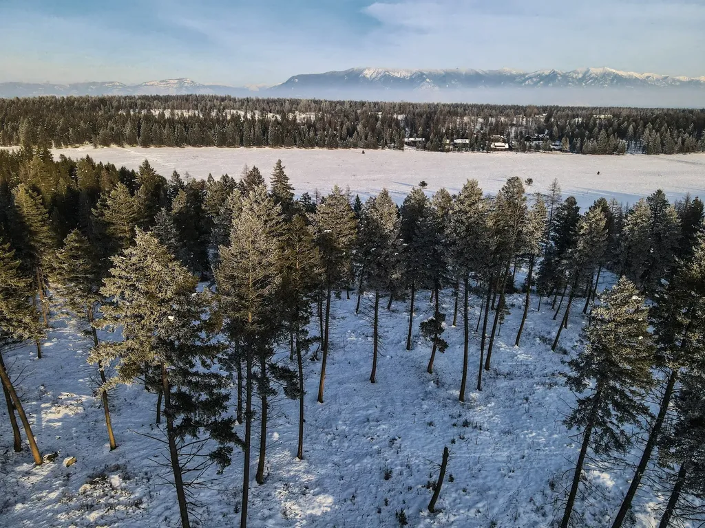269 Layton Road Whitefish MT 59937