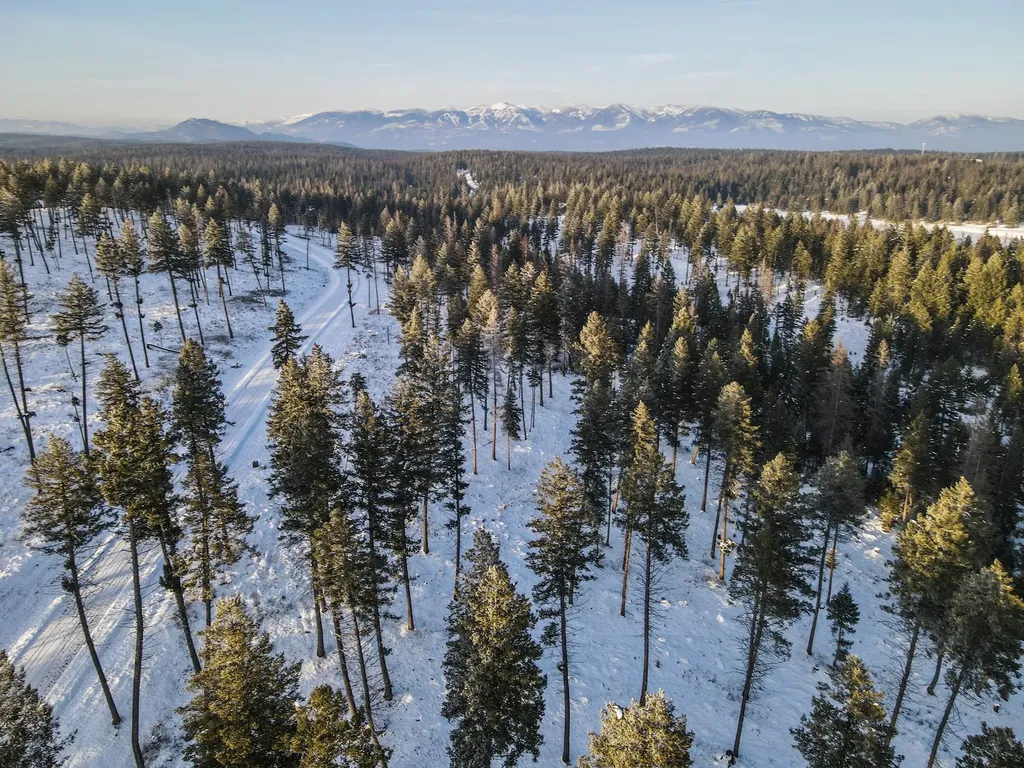 269 Layton Road Whitefish MT 59937