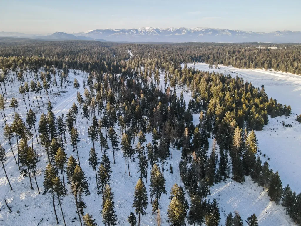 269 Layton Road Whitefish MT 59937