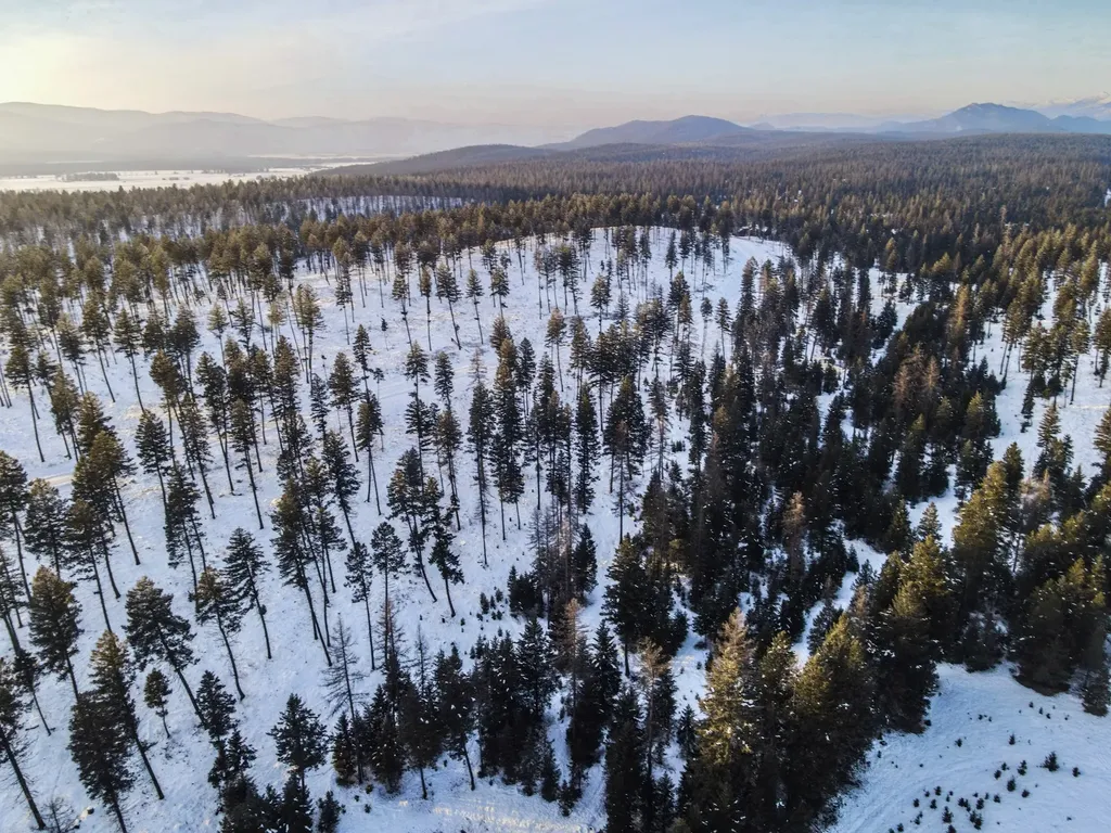 269 Layton Road Whitefish MT 59937