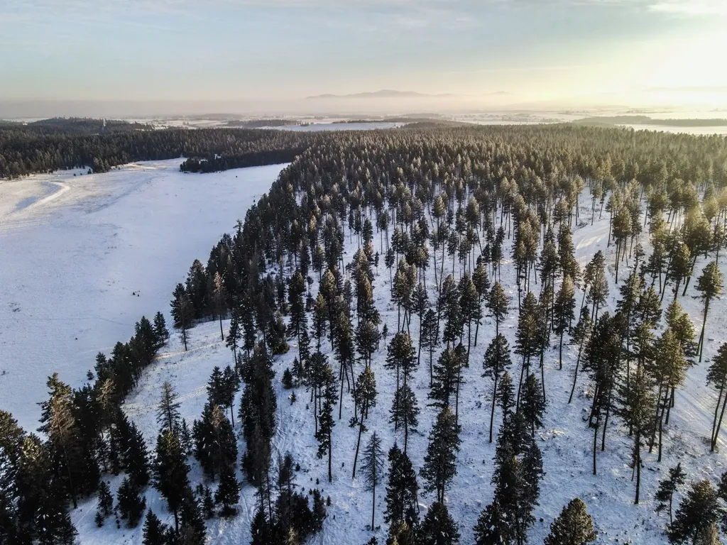 269 Layton Road Whitefish MT 59937