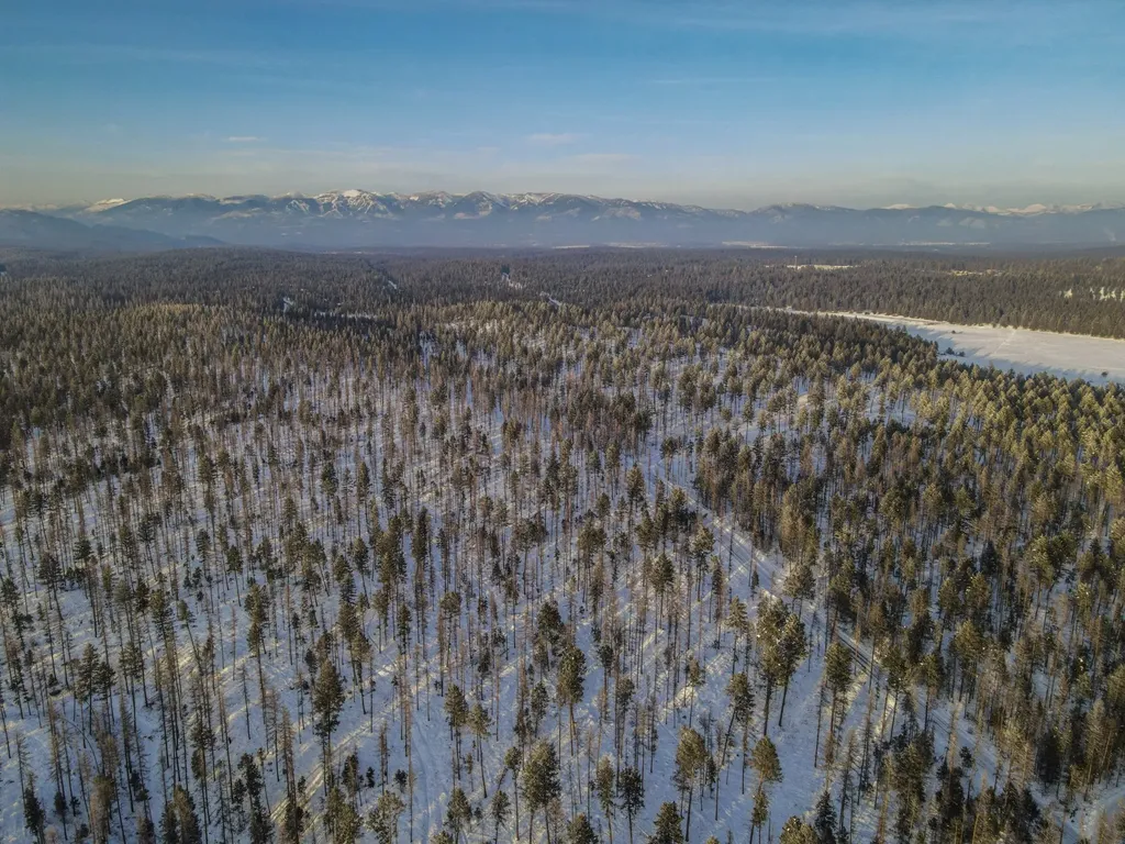 269 Layton Road Whitefish MT 59937