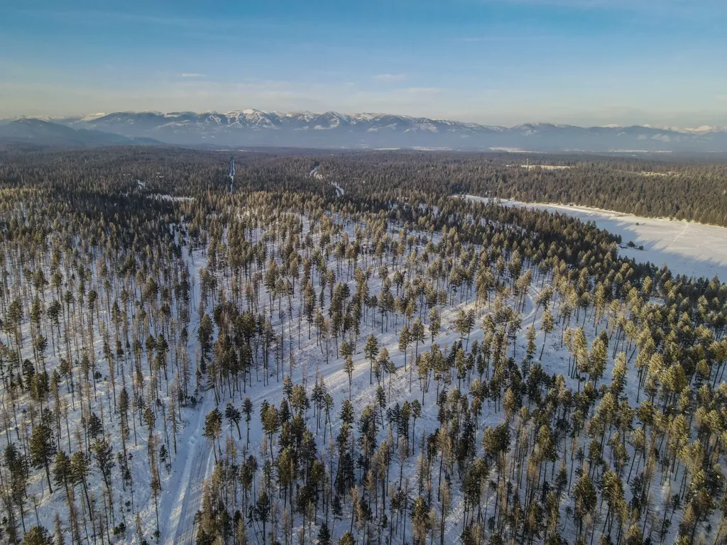 269 Layton Road Whitefish MT 59937
