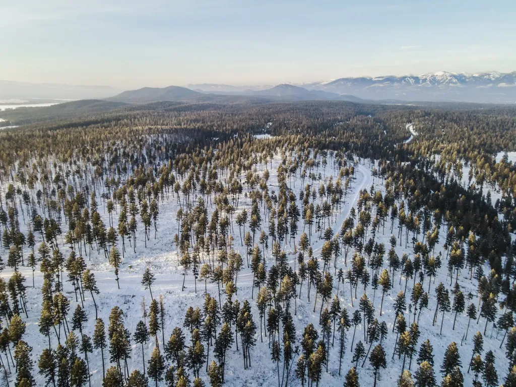 269 Layton Road Whitefish MT 59937