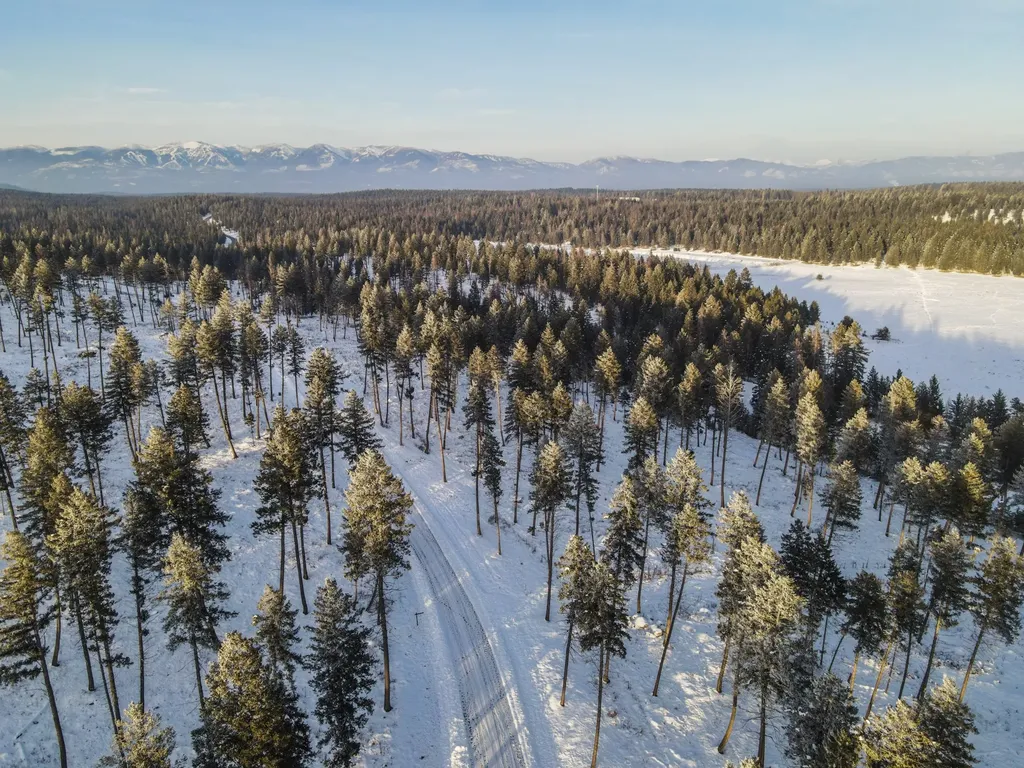 269 Layton Road Whitefish MT 59937
