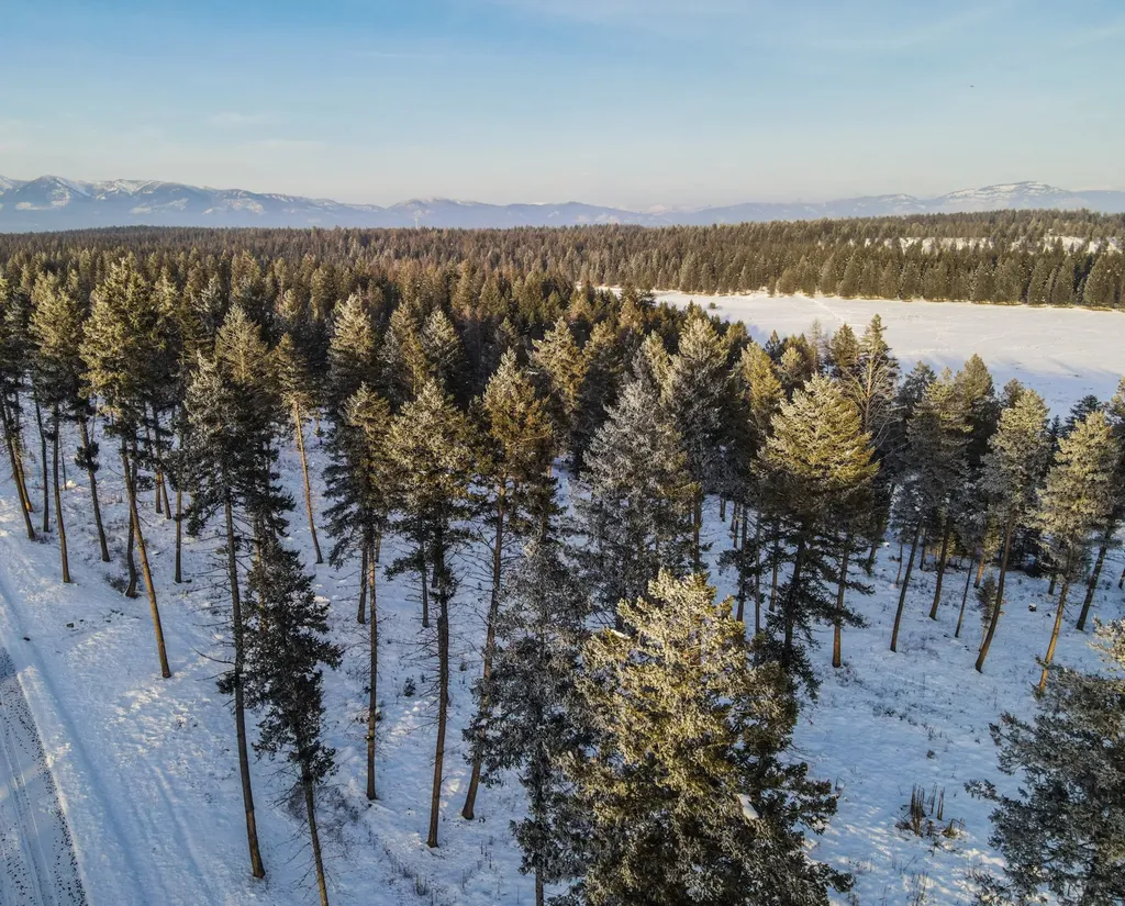 269 Layton Road Whitefish MT 59937