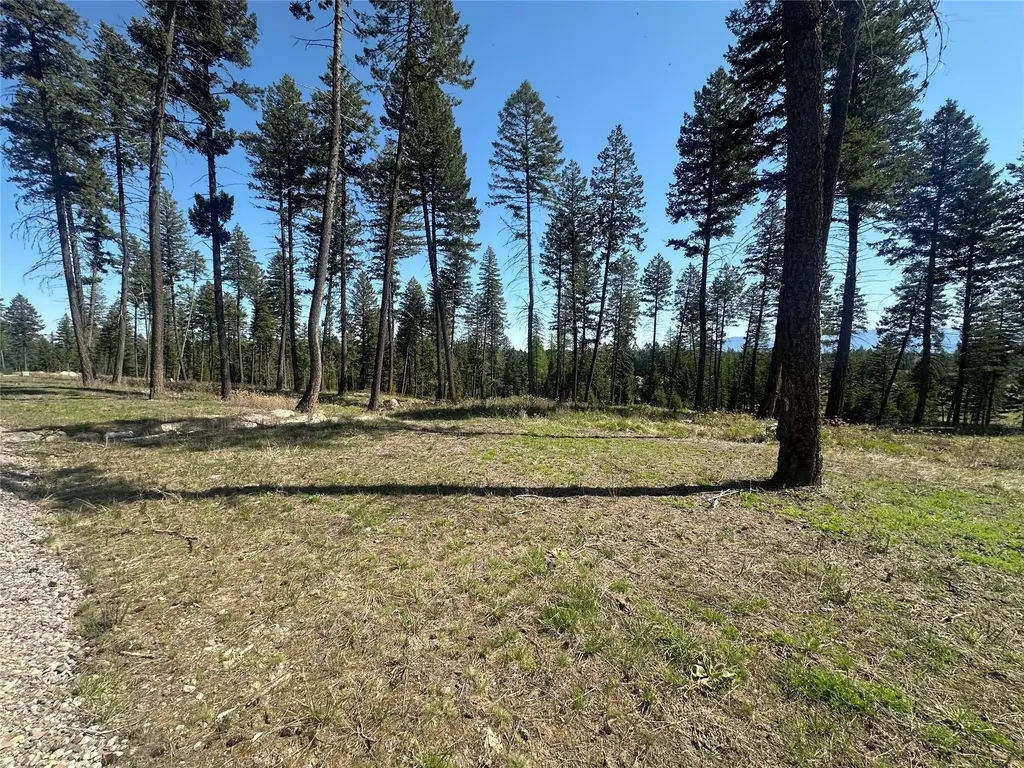 269 Layton Road Whitefish MT 59937