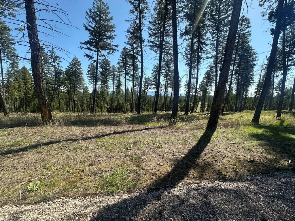 269 Layton Road Whitefish MT 59937