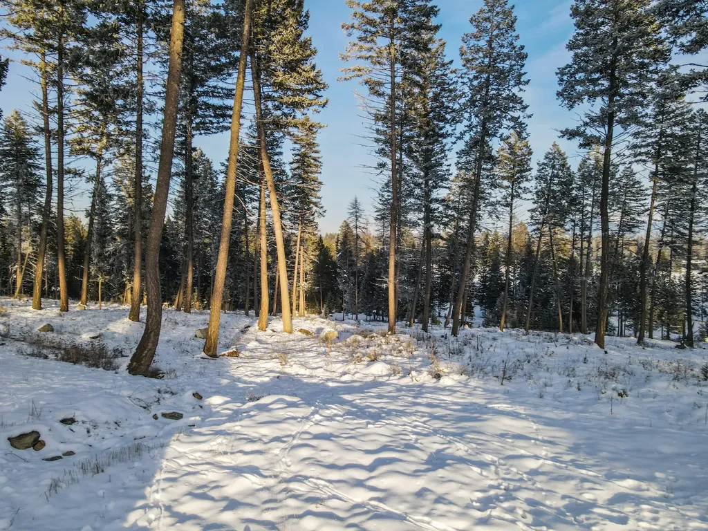 269 Layton Road Whitefish MT 59937