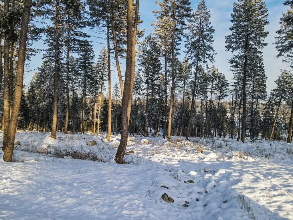 269 Layton Road Whitefish MT 59937