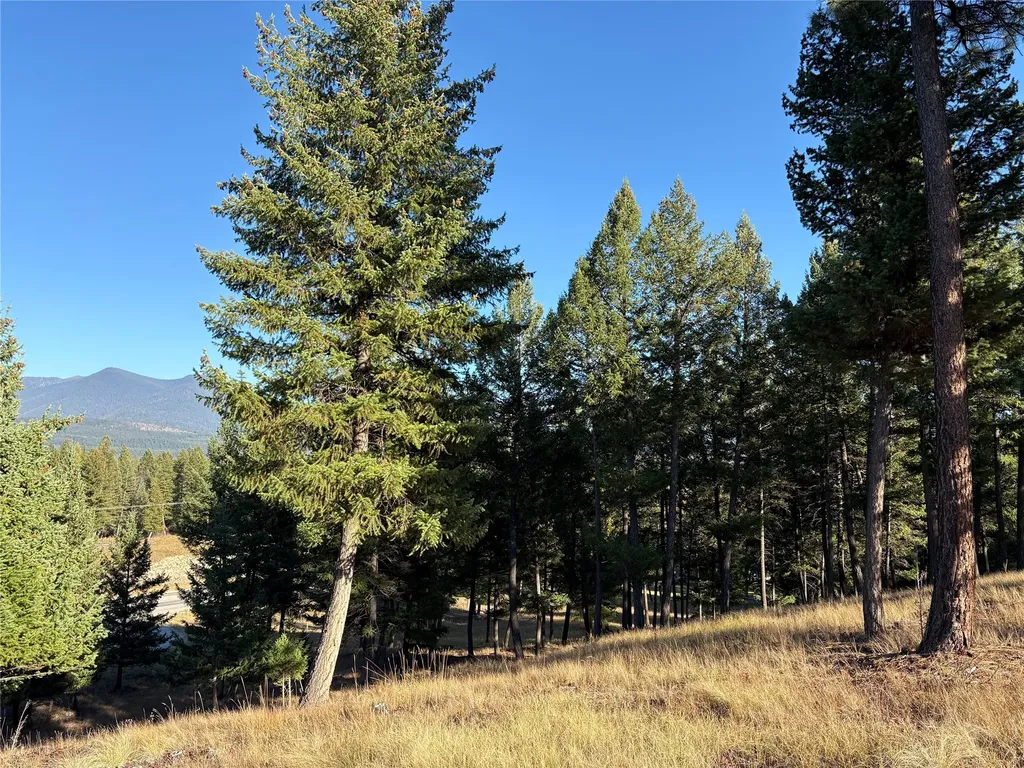 Nhn (Lot 1b) Badger Trail Eureka MT 59917