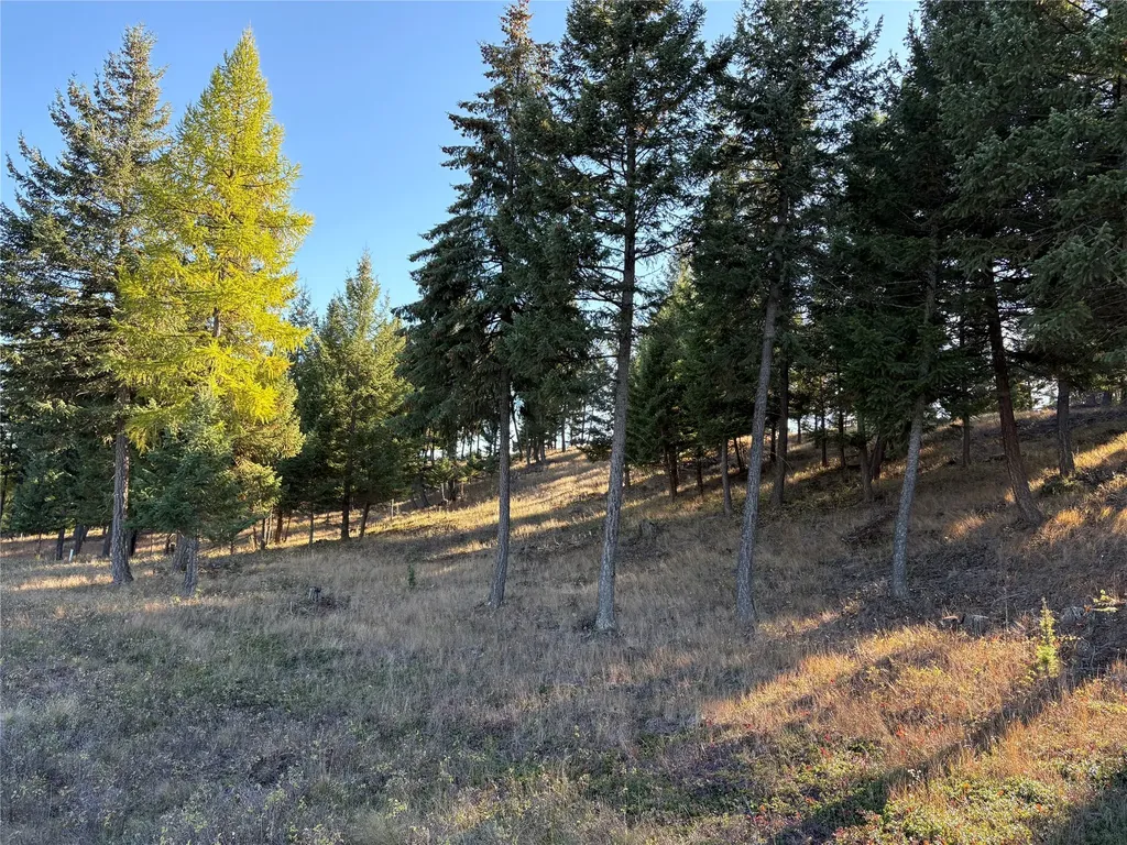 Nhn (Lot 1b) Badger Trail Eureka MT 59917