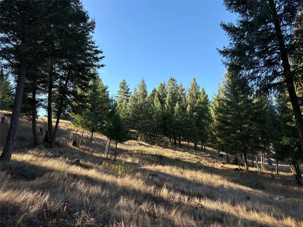 Nhn (Lot 1b) Badger Trail Eureka MT 59917