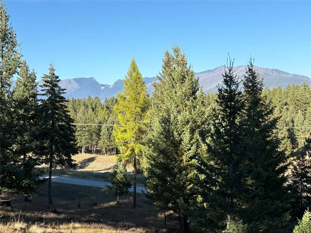 Nhn (Lot 1b) Badger Trail Eureka MT 59917