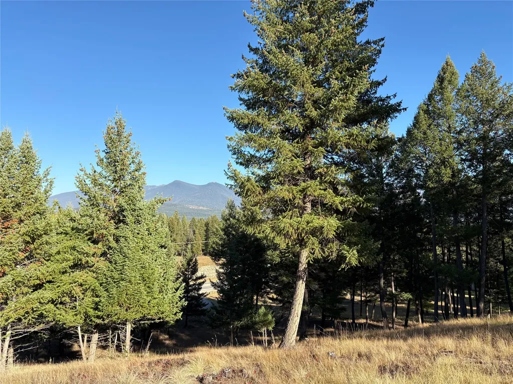 Nhn (Lot 1b) Badger Trail Eureka MT 59917