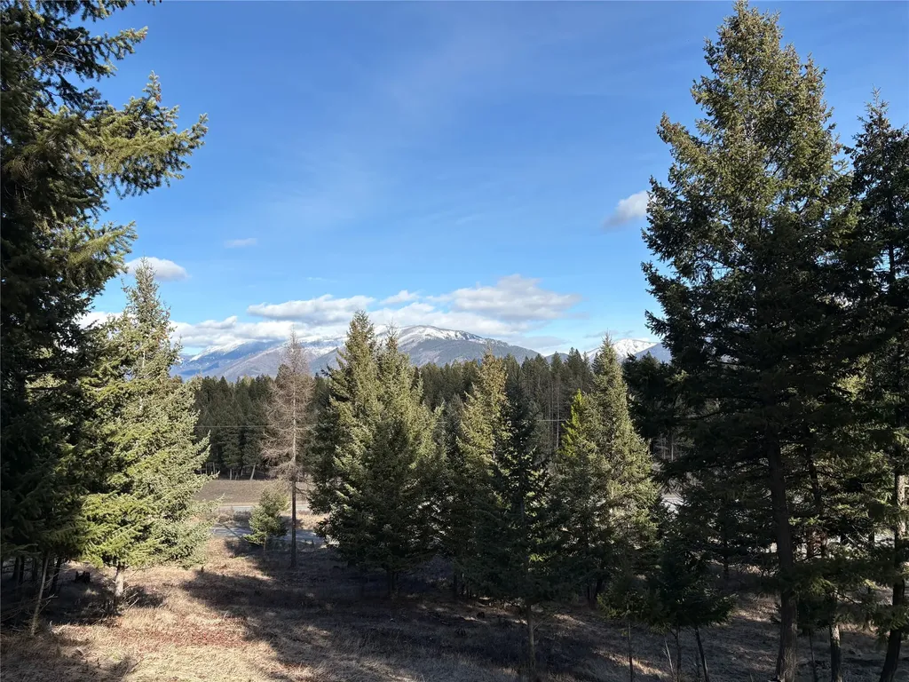 Nhn (Lot 1b) Badger Trail Eureka MT 59917