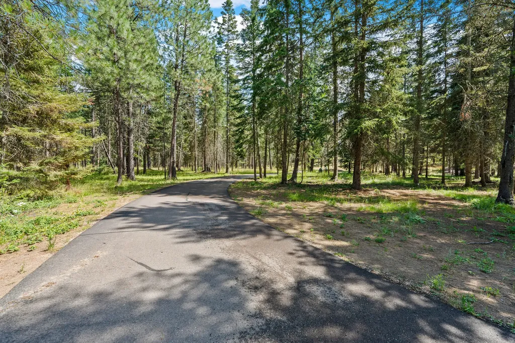 350 Old Paint Trail Bigfork MT 59911