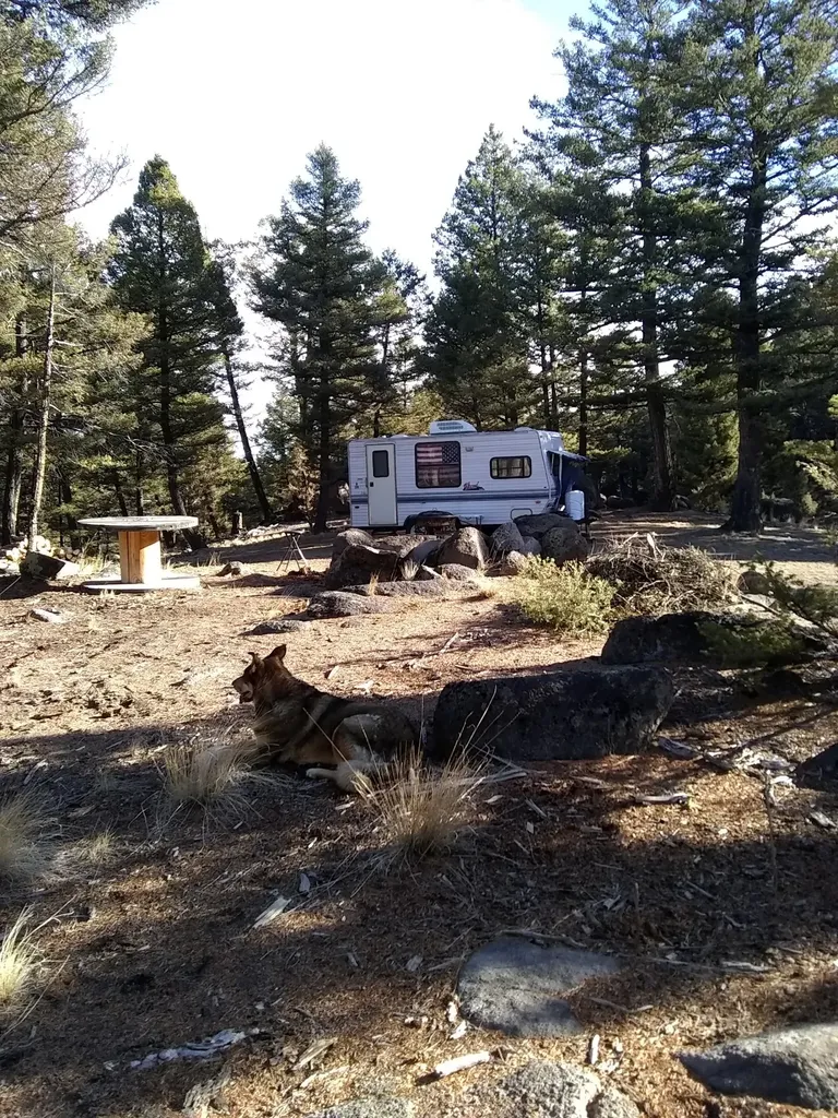 16 Friendspring Road Whitehall MT 59759