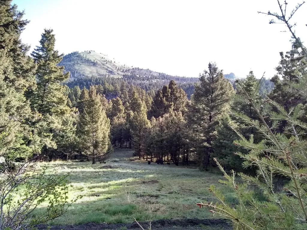 16 Friendspring Road Whitehall MT 59759