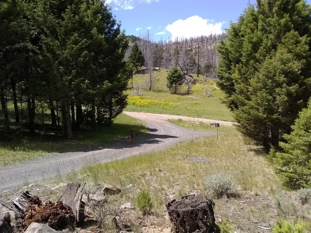 16 Friendspring Road Whitehall MT 59759