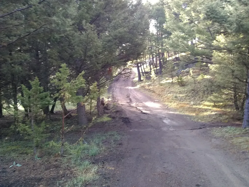 16 Friendspring Road Whitehall MT 59759