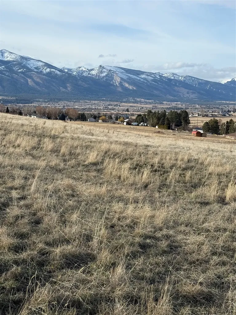 Nhn Falcon Watch Road W Hamilton MT 59840