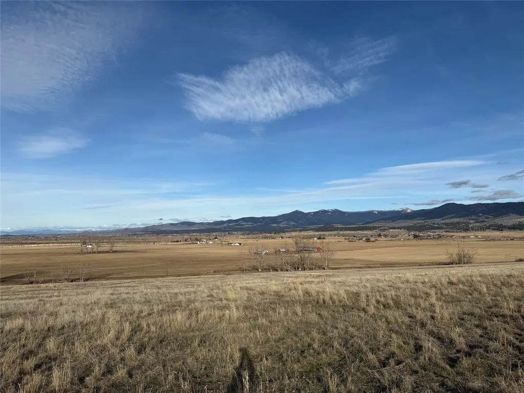 Nhn Falcon Watch Road W Hamilton MT 59840