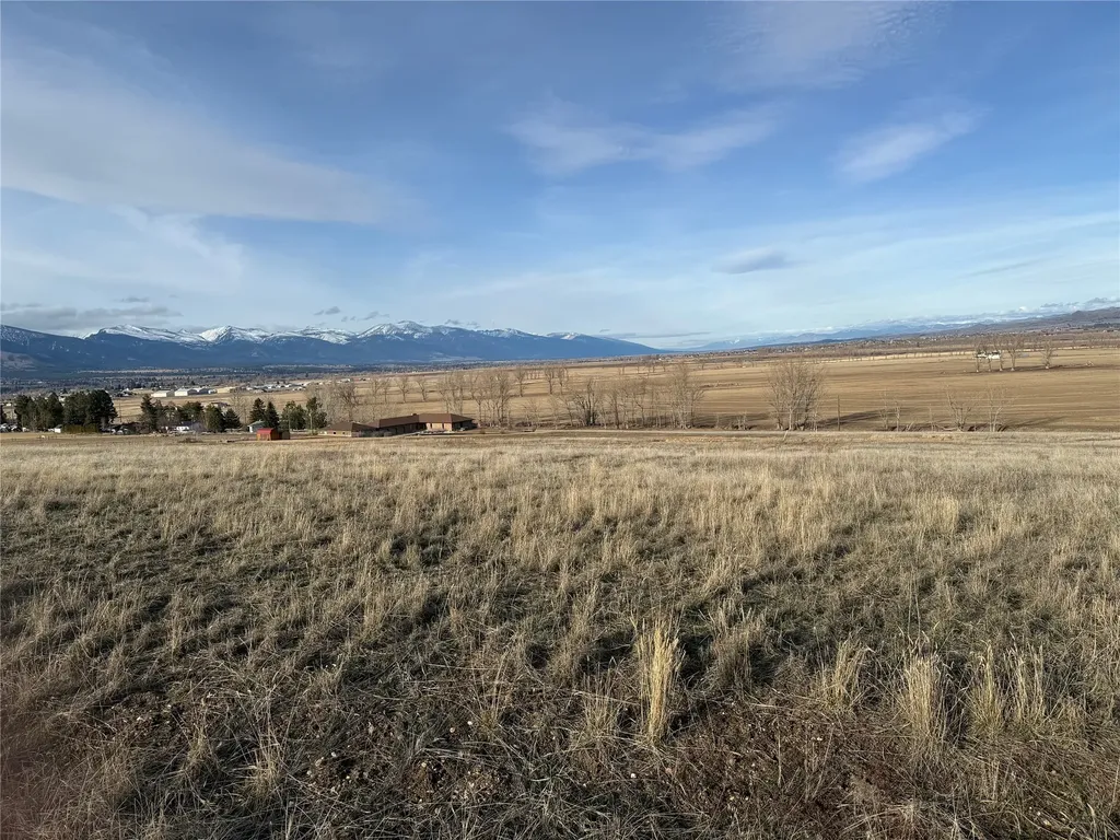 Nhn Falcon Watch Road W Hamilton MT 59840