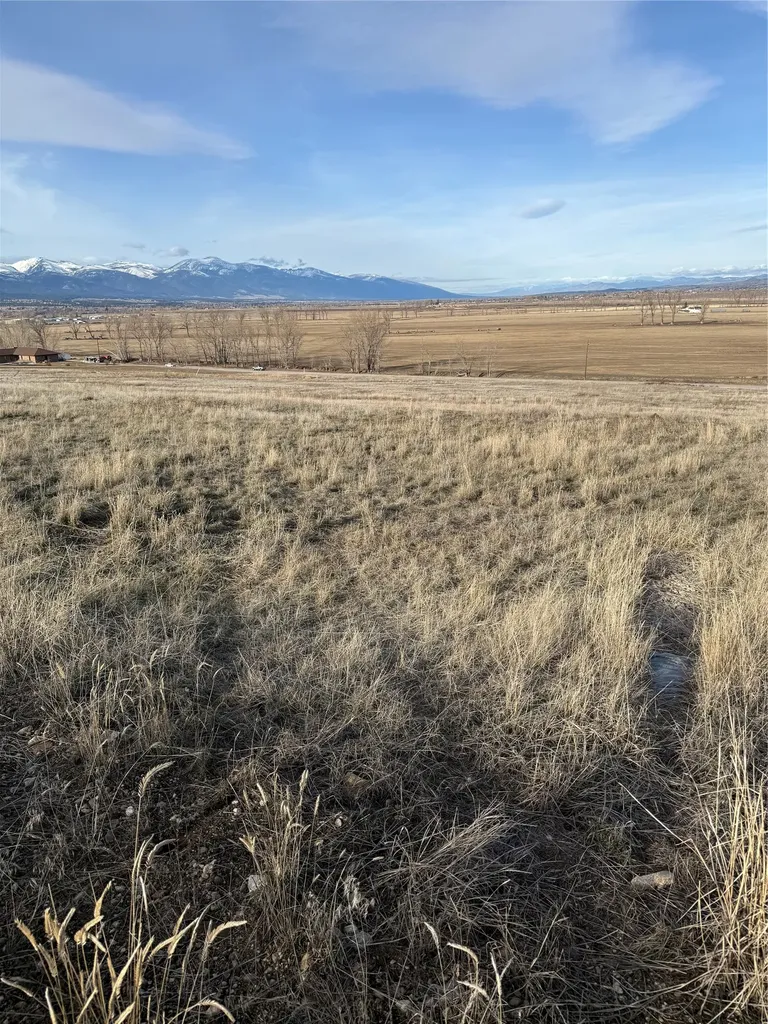 Nhn Falcon Watch Road W Hamilton MT 59840