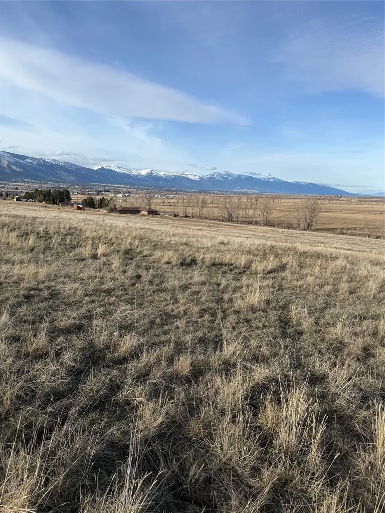 Nhn Falcon Watch Road W Hamilton MT 59840