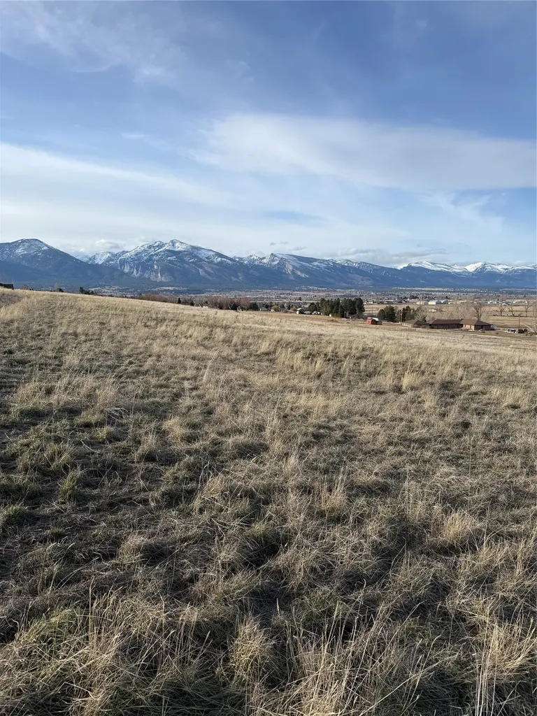 Nhn Falcon Watch Road W Hamilton MT 59840