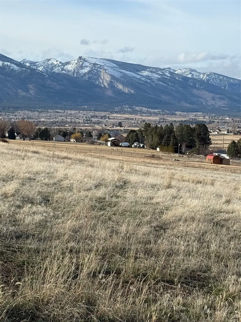 Nhn Falcon Watch Road W Hamilton MT 59840