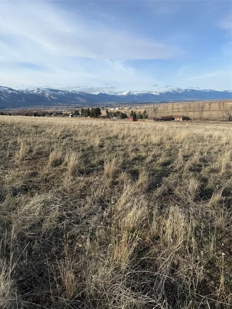 Nhn Falcon Watch Road W Hamilton MT 59840