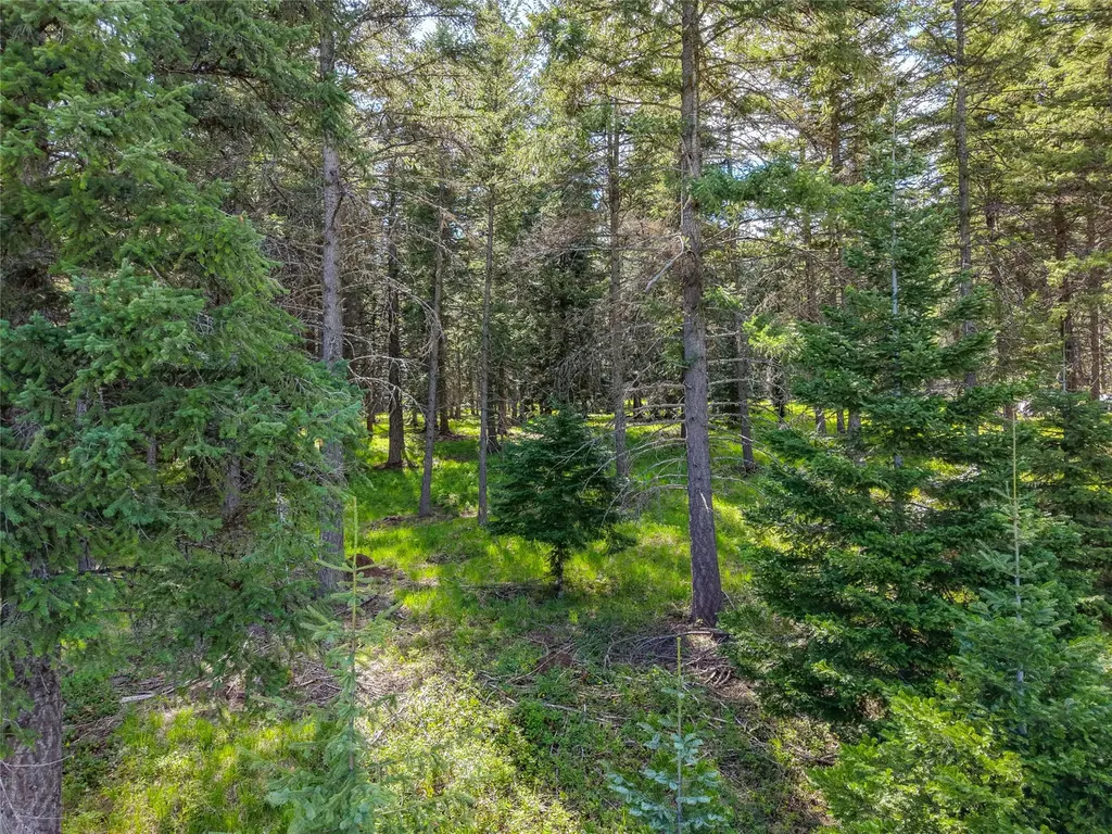 260 Bobtail Meadow Road Libby MT 59923