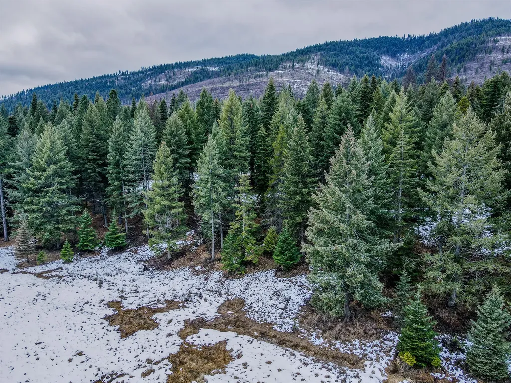 260 Bobtail Meadow Road Libby MT 59923