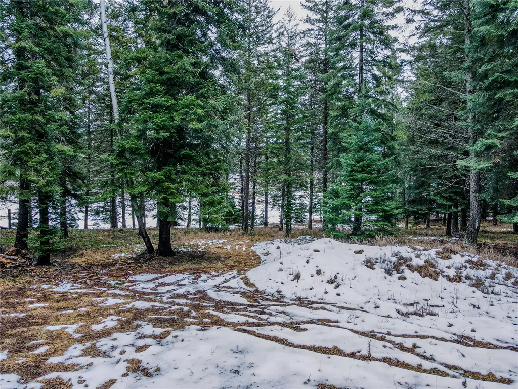 260 Bobtail Meadow Road Libby MT 59923
