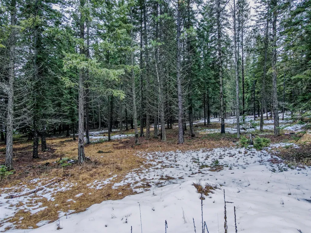 260 Bobtail Meadow Road Libby MT 59923