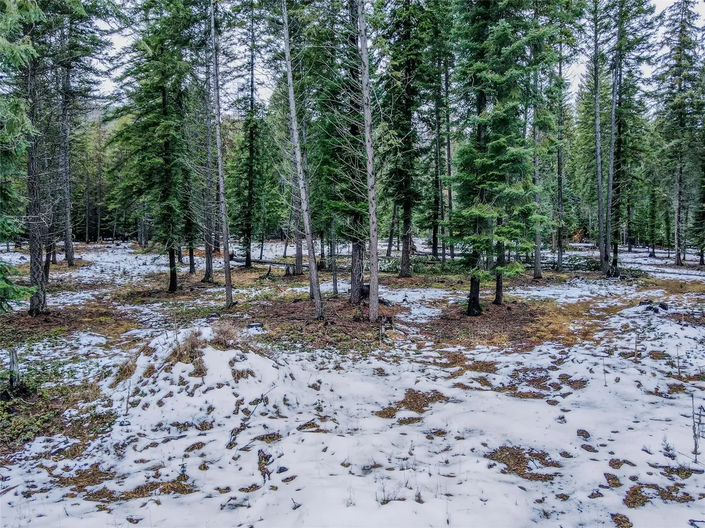 260 Bobtail Meadow Road Libby MT 59923