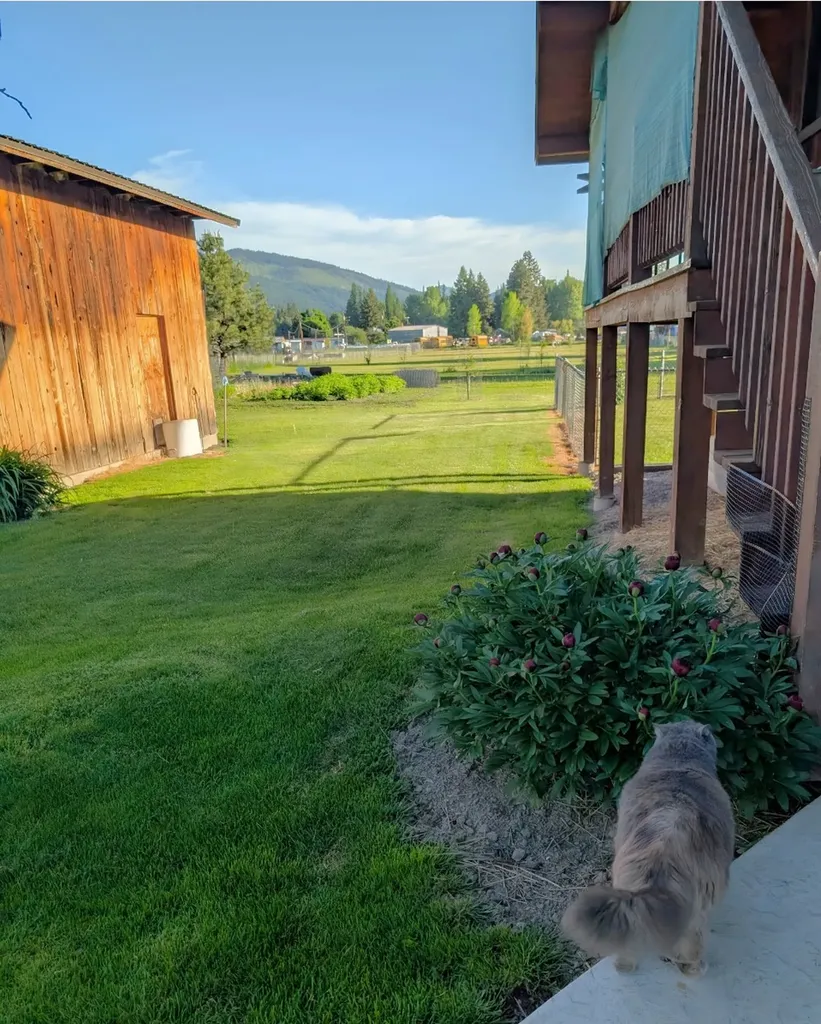 362 Vanderwood Road Libby MT 59923