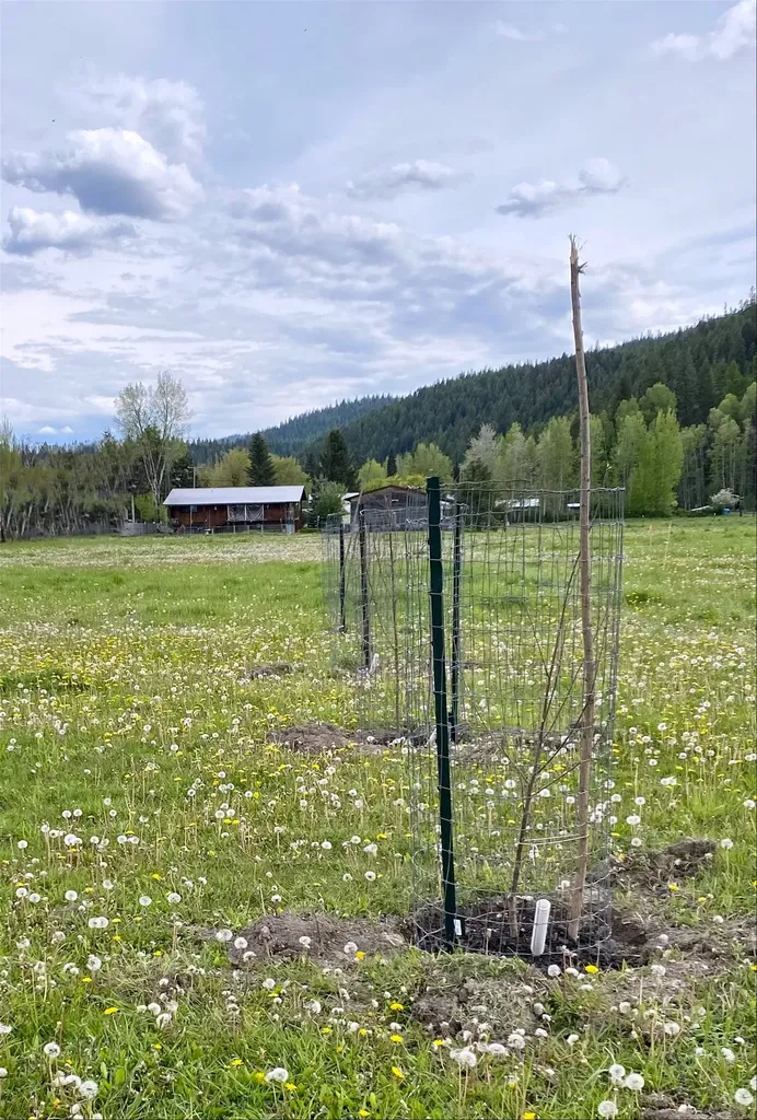 362 Vanderwood Road Libby MT 59923