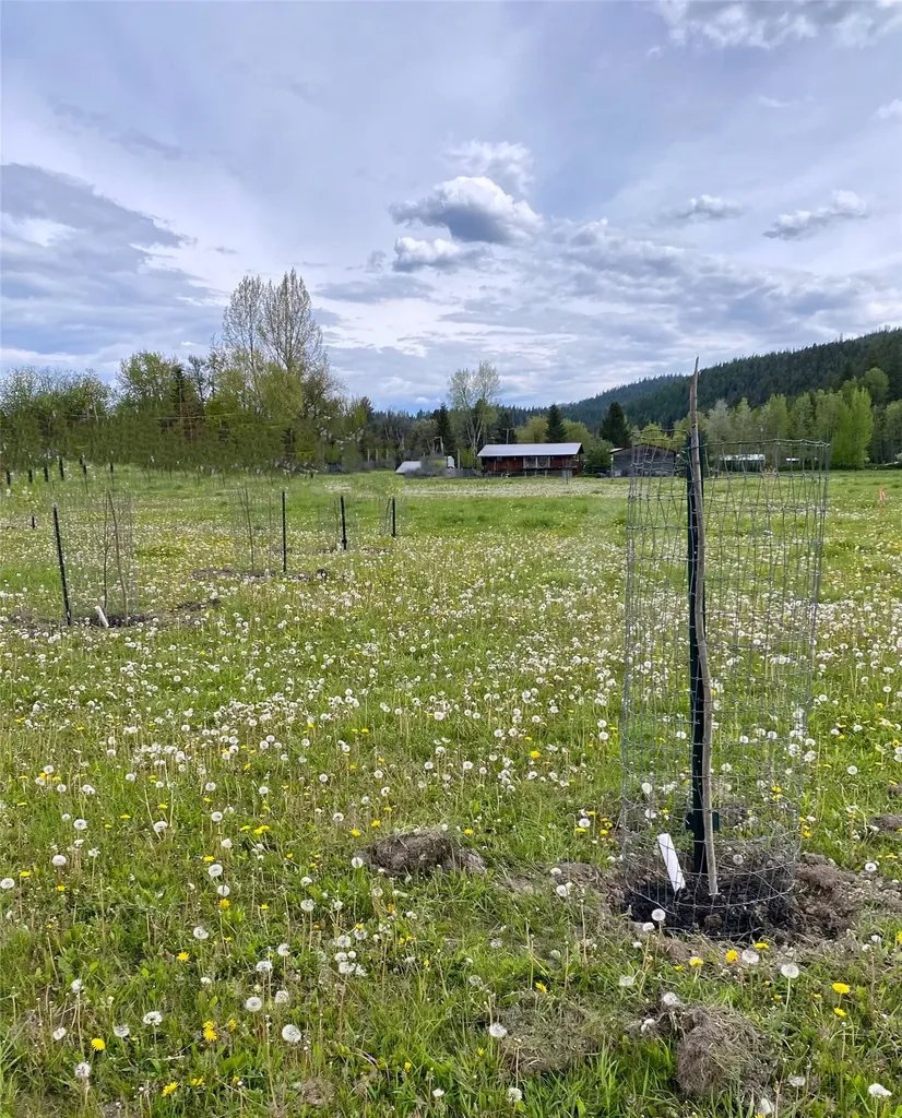 362 Vanderwood Road Libby MT 59923