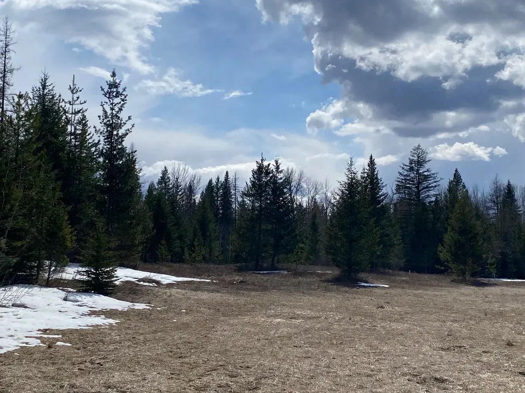 214 Aspen Lane Columbia Falls MT 59912