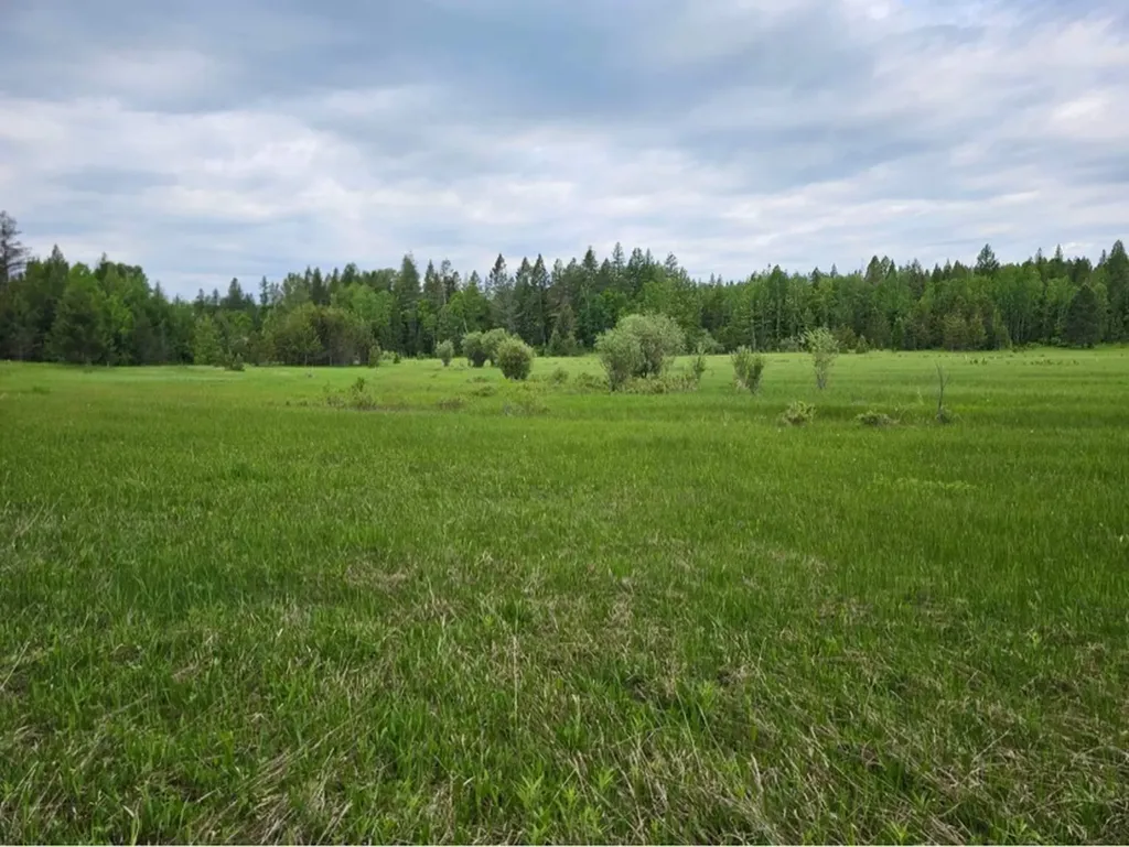 214 Aspen Lane Columbia Falls MT 59912